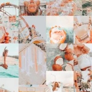 Meet your Posher, Eva